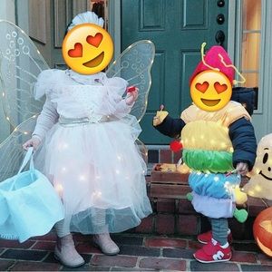 Light up Fairy Costume with matching basket